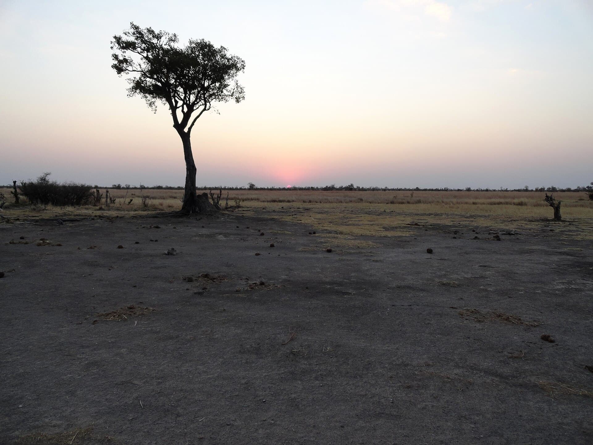 The plains of Hwange National Park, adjacent to Dete