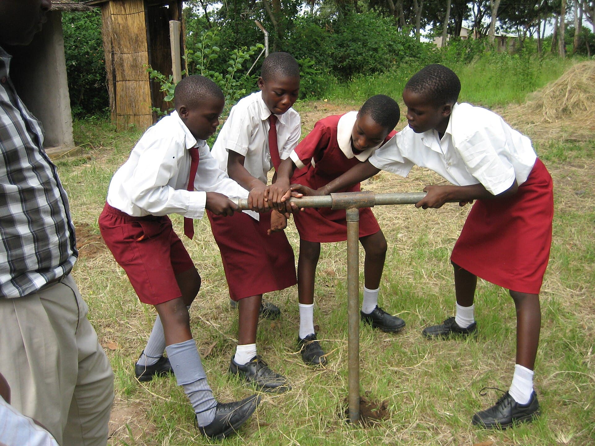 Community clean-up and tree planting campaign